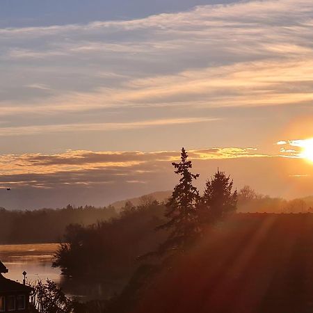 Ferienwohnung Rheinblick In Buesingen -Keine Monteure- Busingen Екстериор снимка