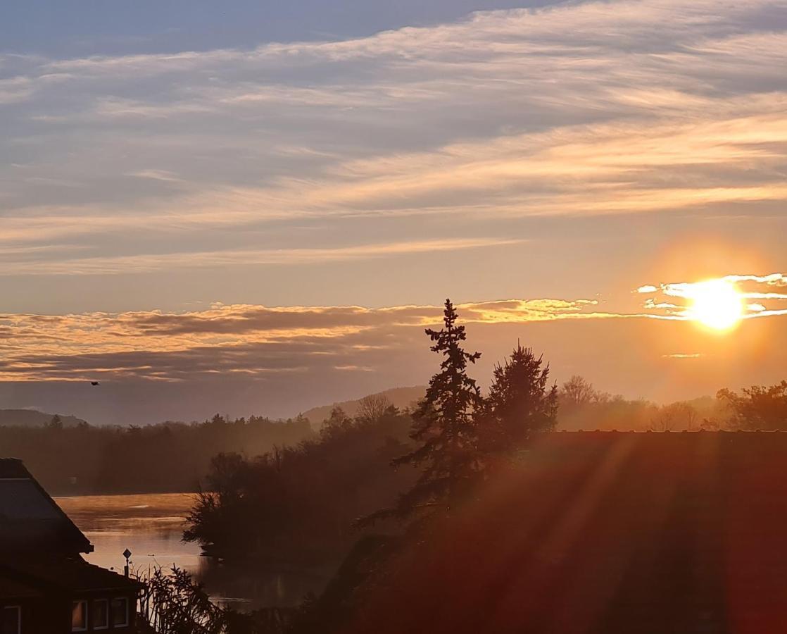 Ferienwohnung Rheinblick In Buesingen -Keine Monteure- Busingen Екстериор снимка