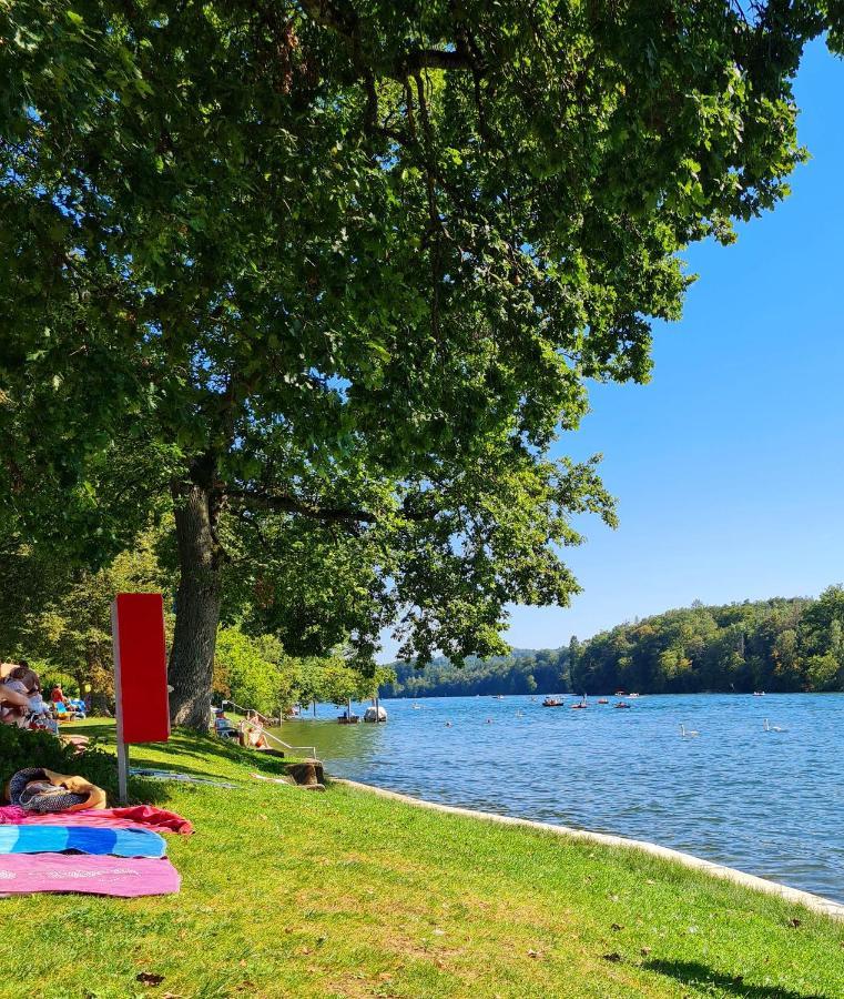 Ferienwohnung Rheinblick In Buesingen -Keine Monteure- Busingen Екстериор снимка