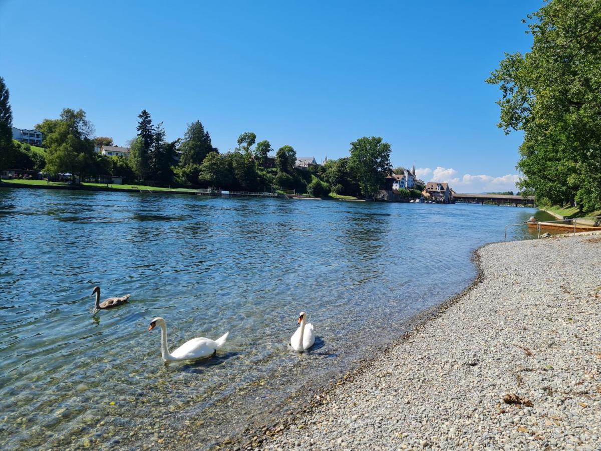 Ferienwohnung Rheinblick In Buesingen -Keine Monteure- Busingen Екстериор снимка
