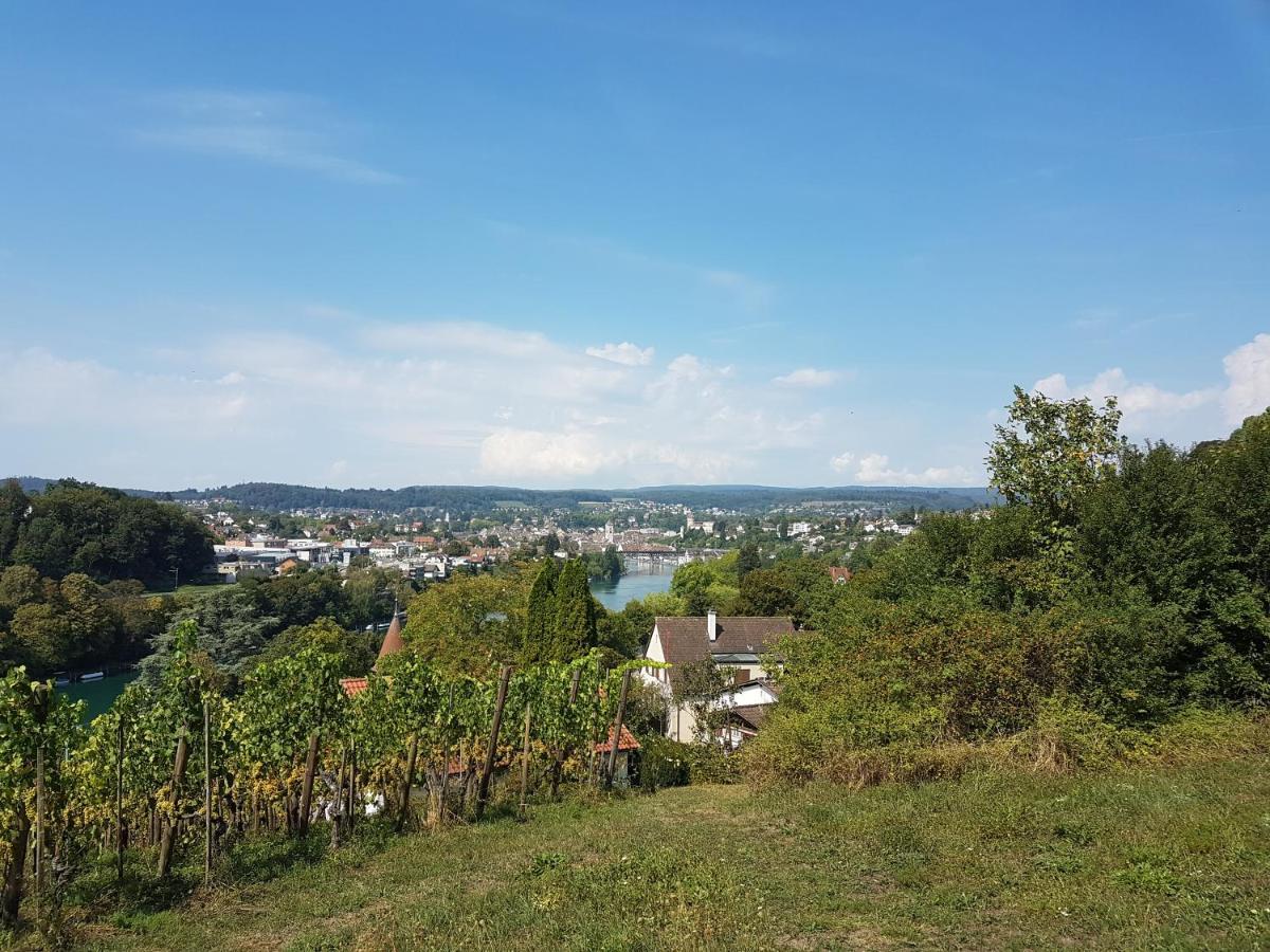Ferienwohnung Rheinblick In Buesingen -Keine Monteure- Busingen Екстериор снимка