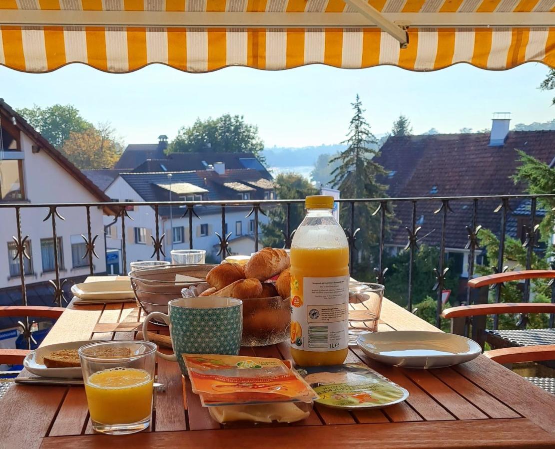 Ferienwohnung Rheinblick In Buesingen -Keine Monteure- Busingen Екстериор снимка
