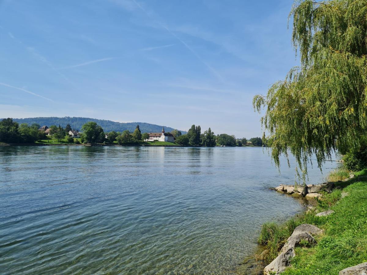 Ferienwohnung Rheinblick In Buesingen -Keine Monteure- Busingen Екстериор снимка