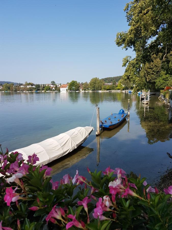 Ferienwohnung Rheinblick In Buesingen -Keine Monteure- Busingen Екстериор снимка
