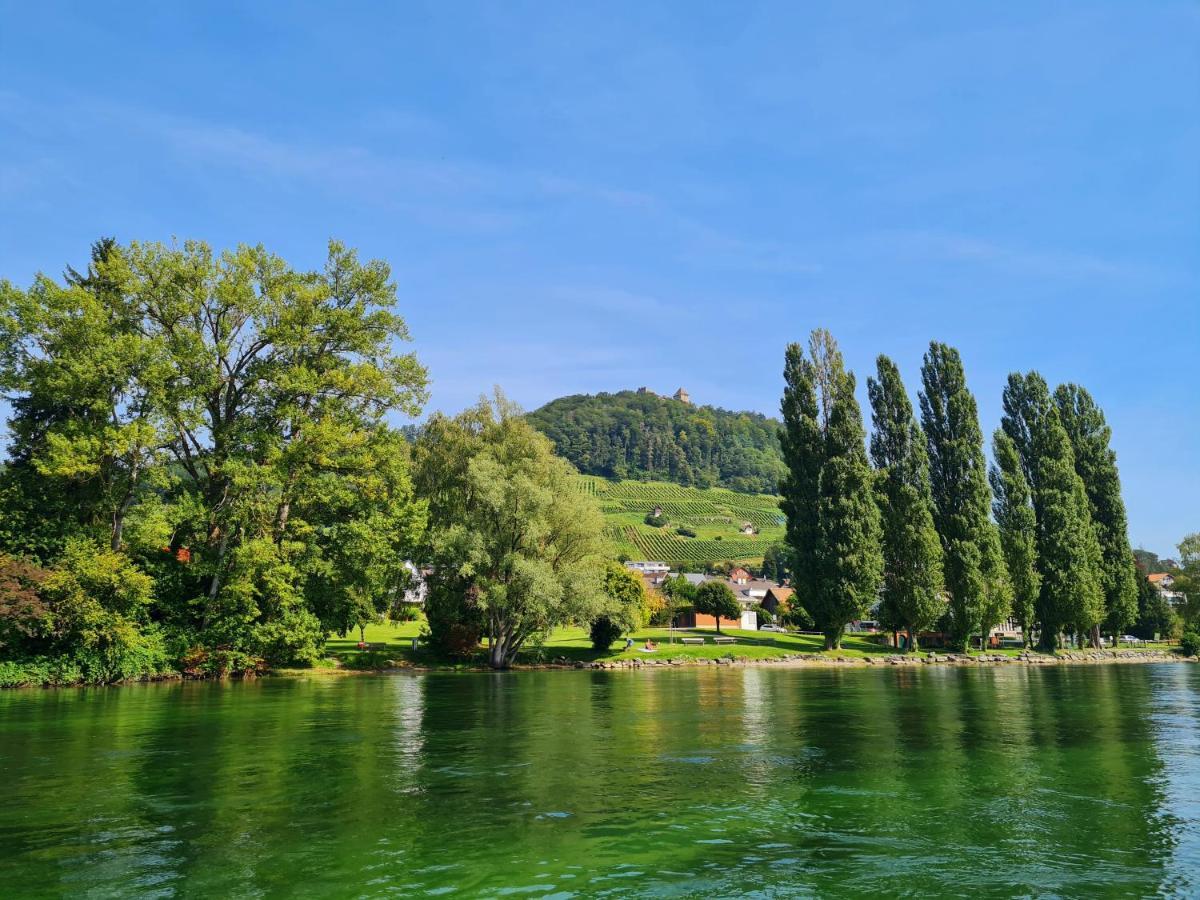 Ferienwohnung Rheinblick In Buesingen -Keine Monteure- Busingen Екстериор снимка
