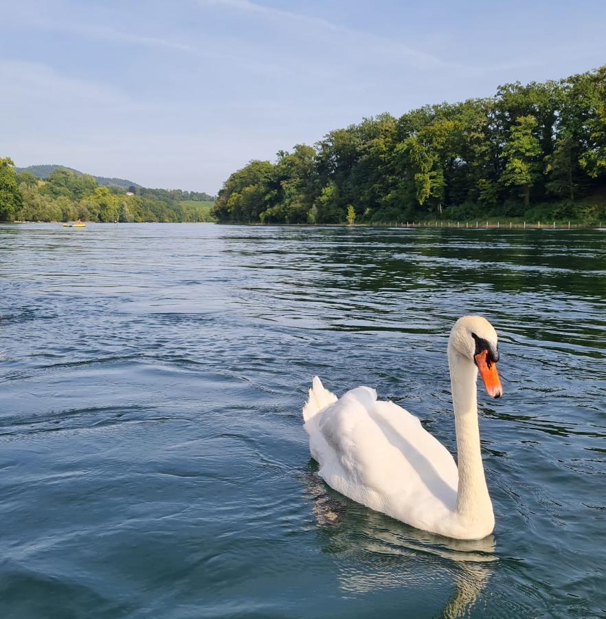 Ferienwohnung Rheinblick In Buesingen -Keine Monteure- Busingen Екстериор снимка