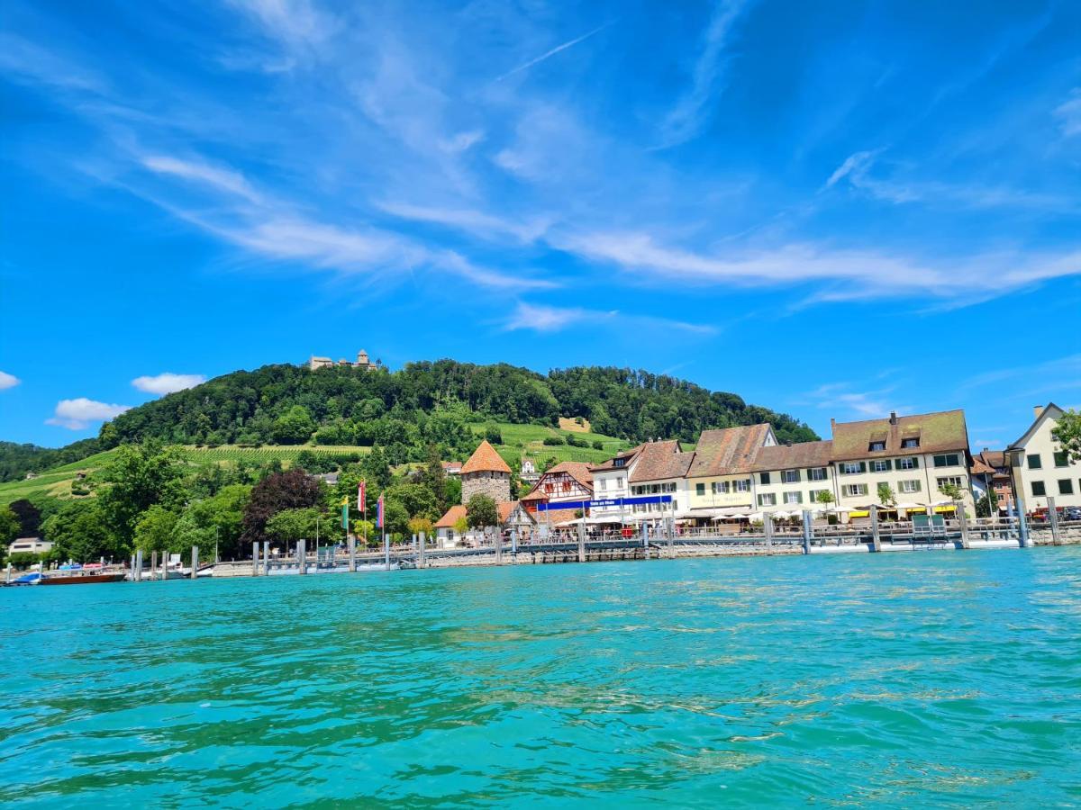 Ferienwohnung Rheinblick In Buesingen -Keine Monteure- Busingen Екстериор снимка