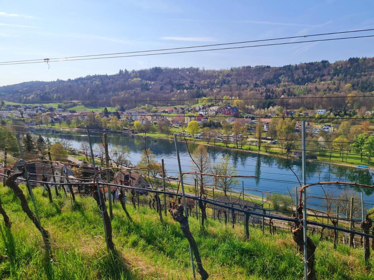 Ferienwohnung Rheinblick In Buesingen -Keine Monteure- Busingen Екстериор снимка