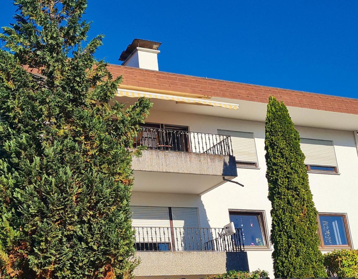 Ferienwohnung Rheinblick In Buesingen -Keine Monteure- Busingen Екстериор снимка