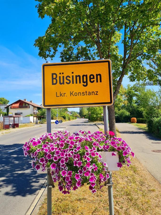 Ferienwohnung Rheinblick In Buesingen -Keine Monteure- Busingen Екстериор снимка